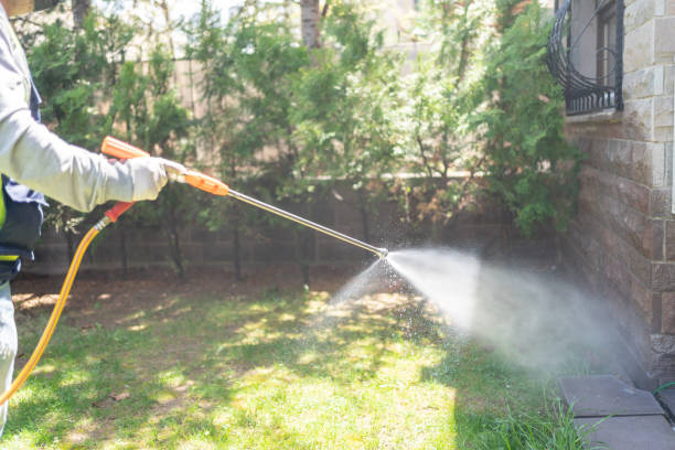 Best Pest Prevention Services  in Poteau, OK